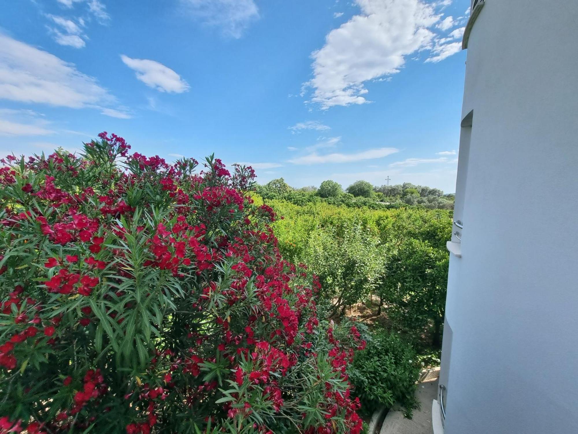 Le Domaine Green Paradise Ulcinj Exterior foto
