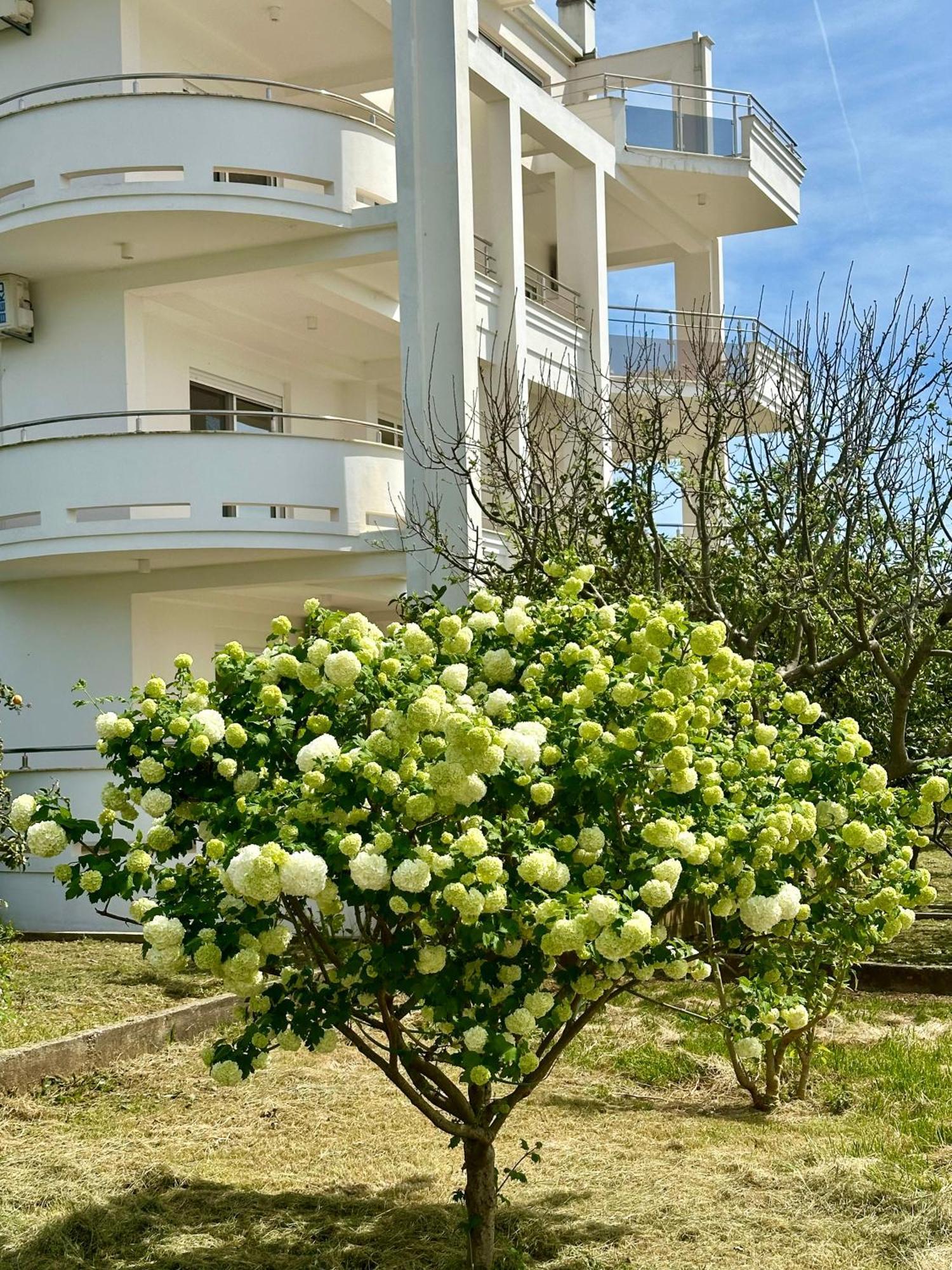 Le Domaine Green Paradise Ulcinj Exterior foto